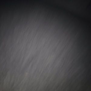 Meet your Posher, Johnny